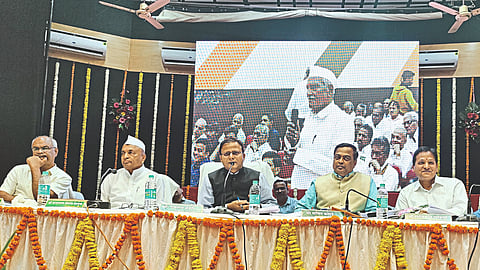 Seed Germination Capacity