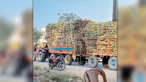 Sugarcane Transport