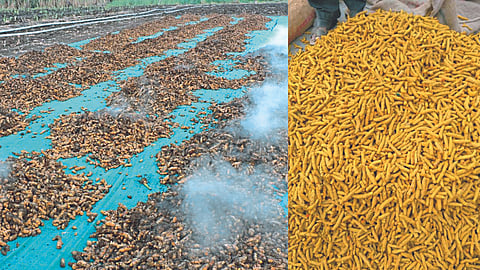 Turmeric Process