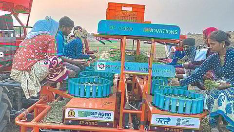 Onion Planter in Nashik