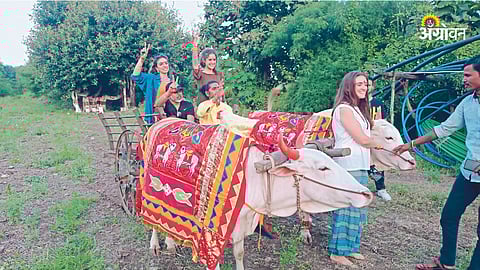 Agritourism Business