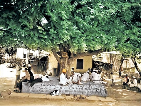 The Sister Brother Thing