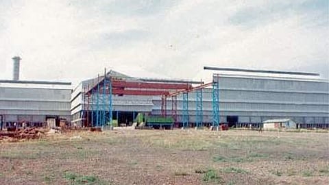 Sugar Factory Election