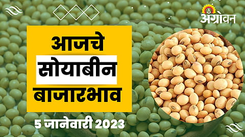 Soybean Rate