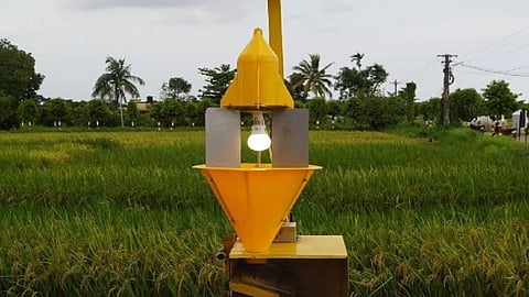 Solar Light Trap