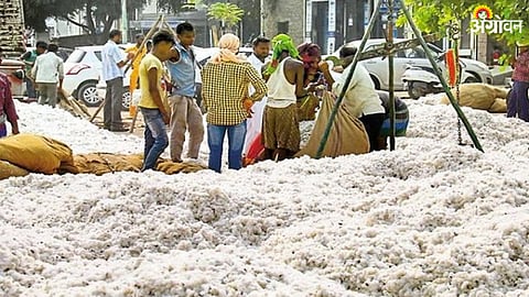 Cotton Futures