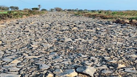 Rural Development