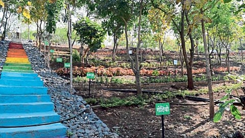 Samvedna Garden