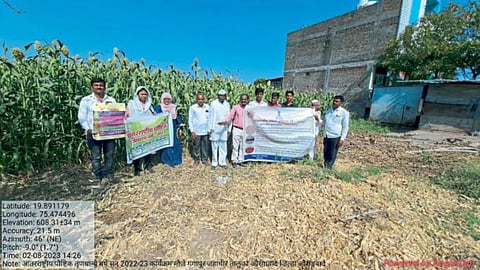 Rabi Jowar Experiment
