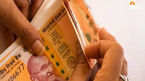 Development Fund