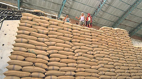 Sugar Production