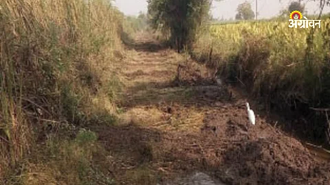 Panand Road