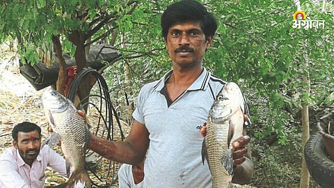 Fish Farming