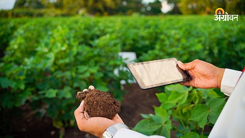 Soil Testing