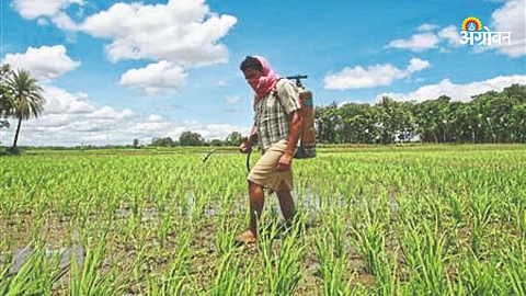 Indian Agricultural