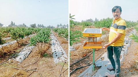 Agriculture