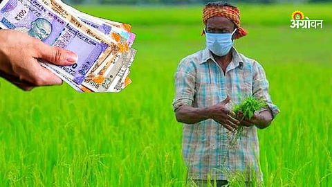 Subsidy Allocation