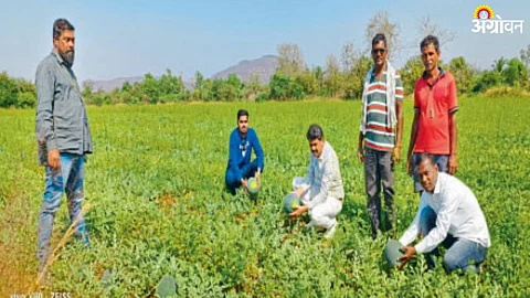 Agriculture Income