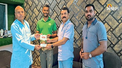 Mango Orchard Cultivation