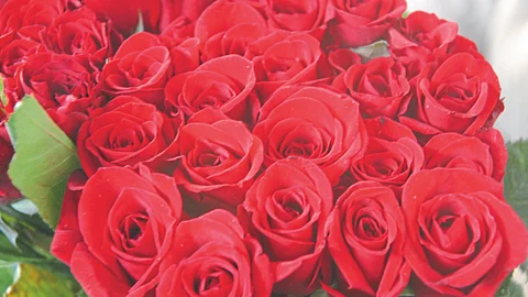 Rose Export