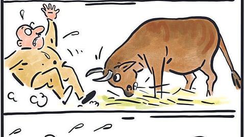 Cow Hug Day