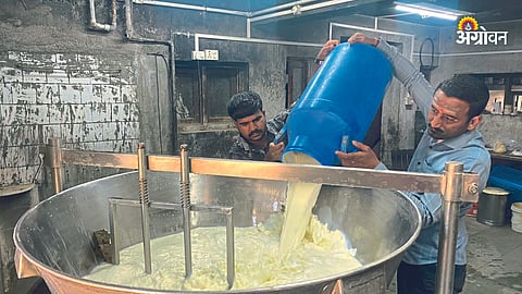 Milk Processing