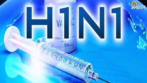 Swine Flu