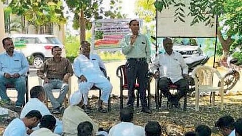 Hurda Party : जिल्हाधिकारी, जि. प. ‘सीईओं’नी  घेतला शिवारात हुरड्याचा आस्वाद