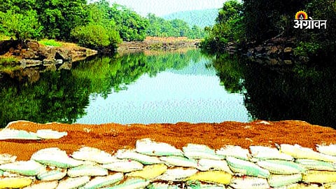 Vanrai Bandhara