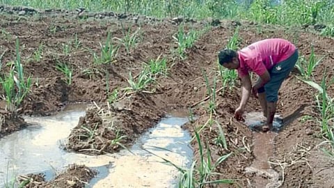 Agriculture Irrigation