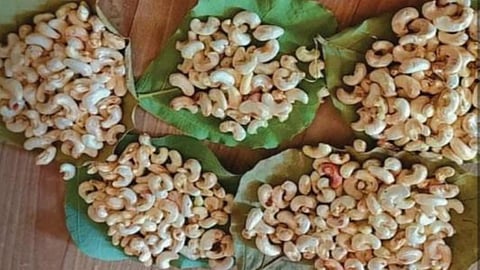 Cashew Rate