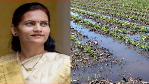 Crop Damage