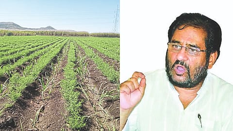 Indian Agriculture