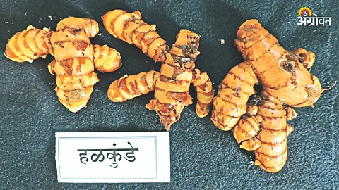 Storage Turmeric