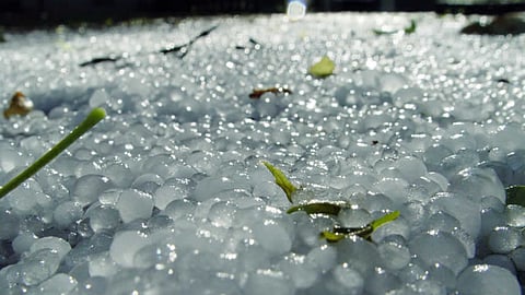 Hailstorm Forcast
