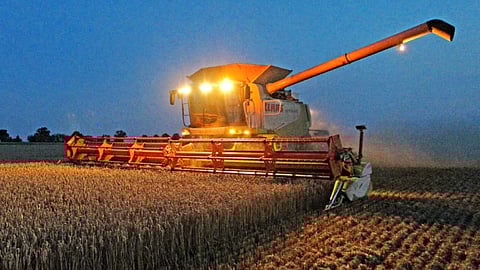 Pakistan Agriculture