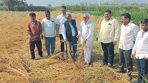 Crop Damage Survey