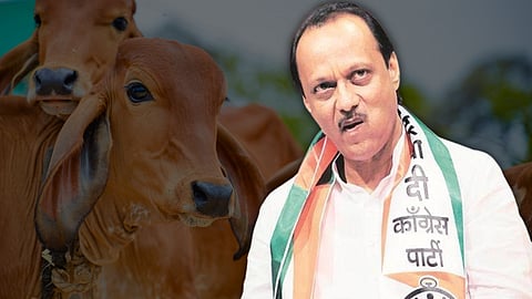 Ajit Pawar