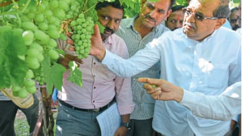 Minister Radhakrishna Vikhe Patil