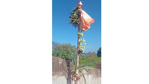 Gudipadwa Farmer