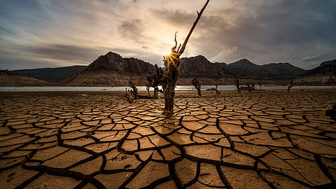 Drought