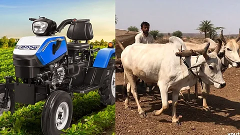 Mini Tractor