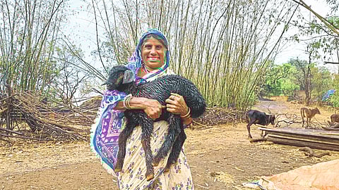 Womans In Agriculture