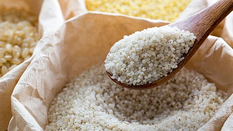 Barnyard Millet