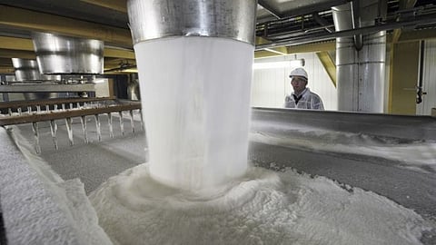 Sugar Production