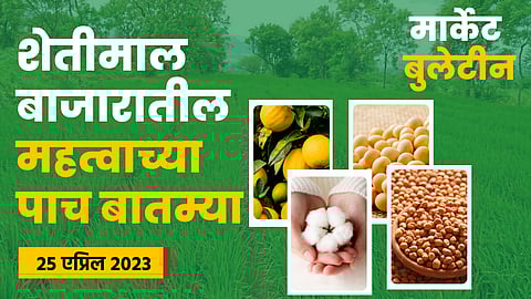 Chana Rate