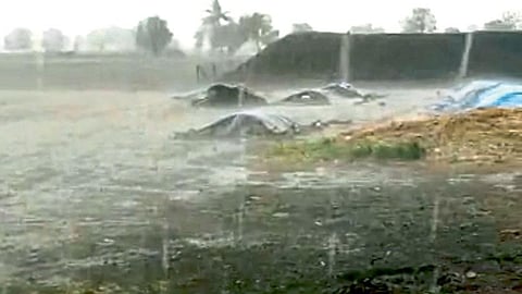 Rain Update