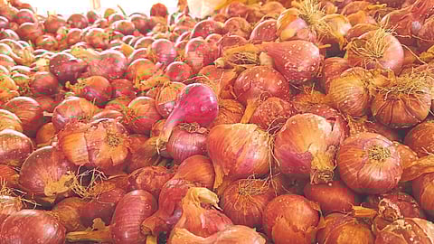 Onion Crop Damage
