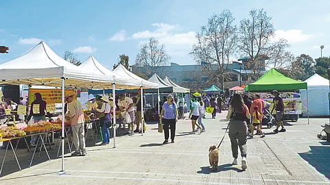 US Agriculture Update