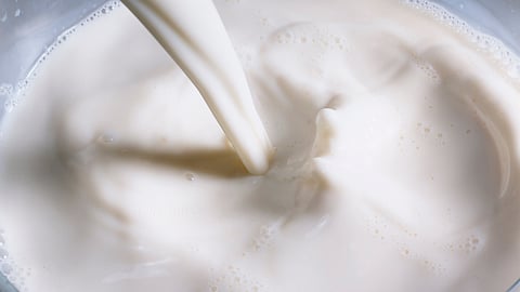 Milk Production Project